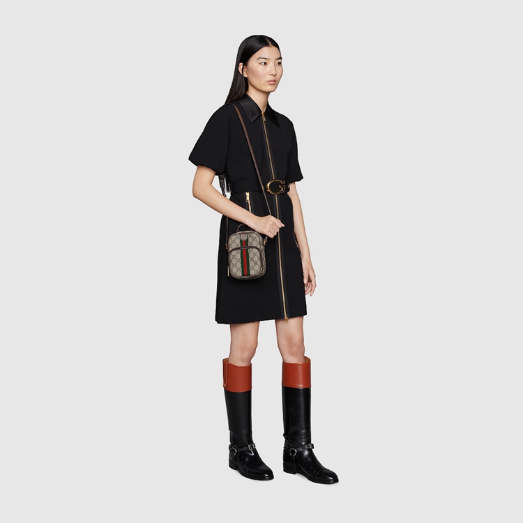 671682.96IWT.8745.011.100.0000.Light Ophidia mini bag